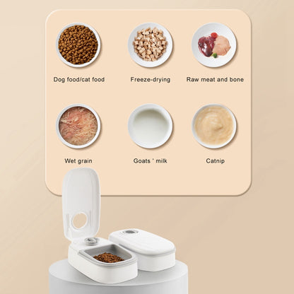 Huff Smart Pet Feeder